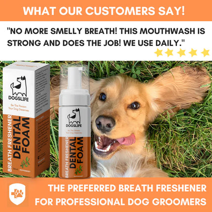 Zahnschaum für Hunde - 150ml
