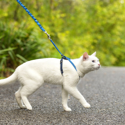 EasyWalk Katzengeschirr mit Bungee-Leine