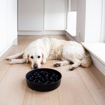 BAMBOO Slow Feeder Dog Bowl