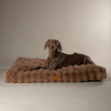 Alpine Mattress