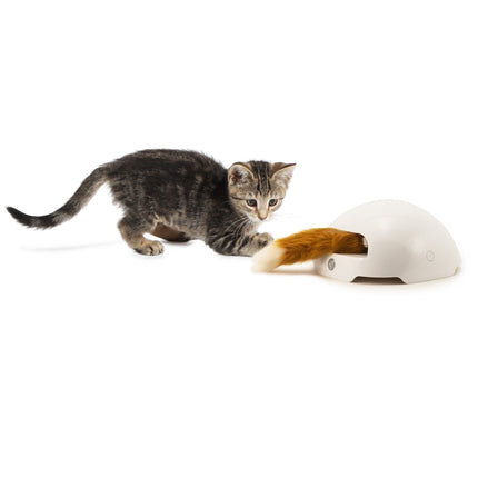 Fox Den Toy Automatisches Katzenspielzeug