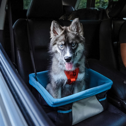 Rover Booster Seat