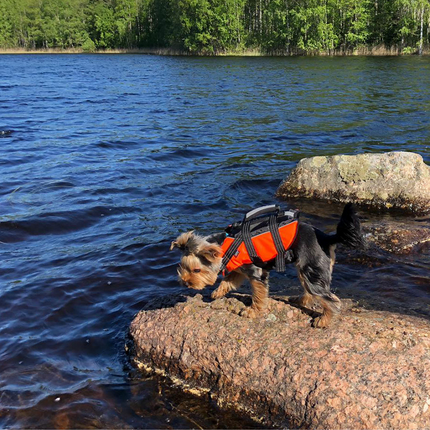 Safety Life Vest