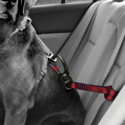 Swivel Tether - Rood