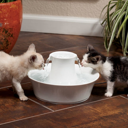 Avalon Pet Fountain - 2 L