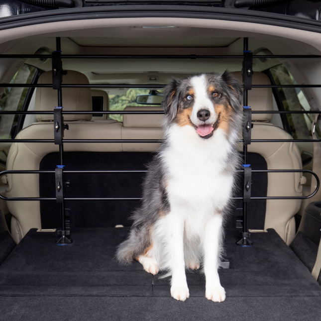Happy Ride Hundebarriere aus Metall