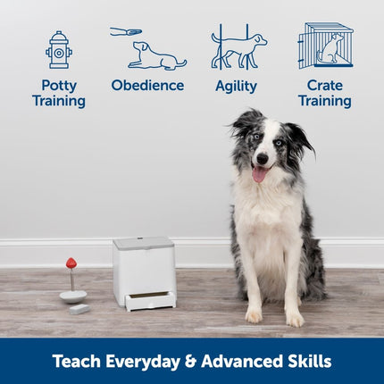 Teach & Treat Fernbelohnungstrainer