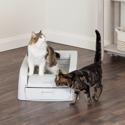 ScoopFree™ klumpende, selbstreinigende Katzentoilette