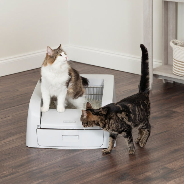 ScoopFree™ klumpende, selbstreinigende Katzentoilette