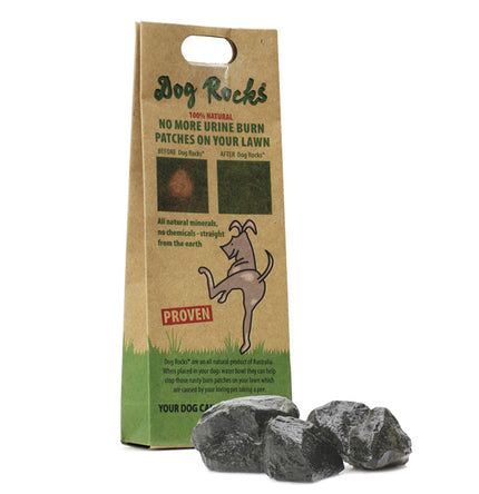 Dog Rocks