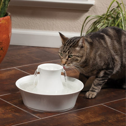 Avalon Pet Fountain - 2 L