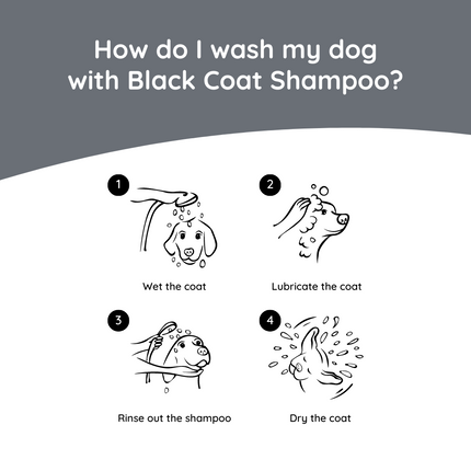 Hundeshampoo Black Coat 270 ml