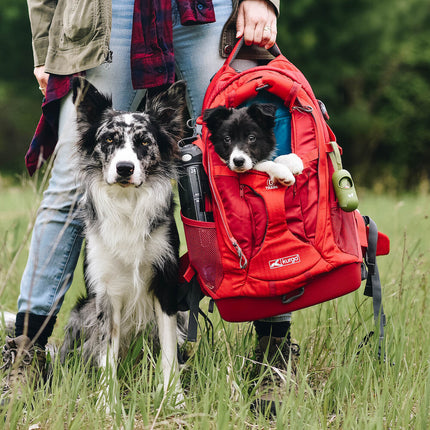 G-Train Dog Carrier Backpack