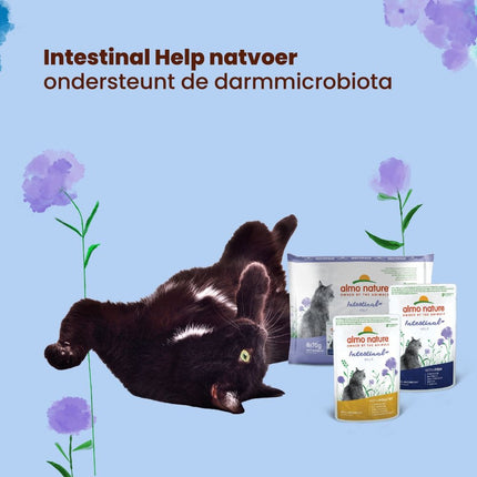 Intestinal Help Wet Food Cat -  Pouch - 30 x 70g