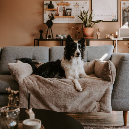NUZZLE Sofa Bed