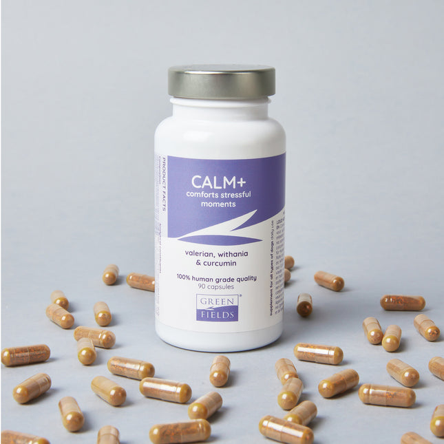 Calm+ to relieve stress for dogs