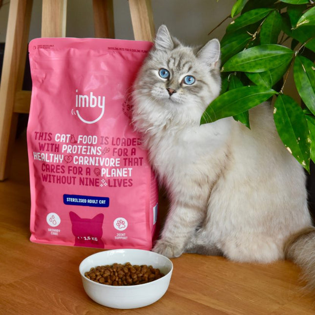 Insect Based Cat Food