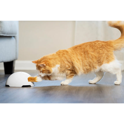 Fox Den Toy Automatisches Katzenspielzeug