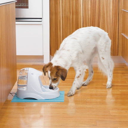Platinum Pet Fountain - 5 L
