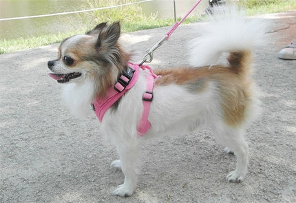 Ritefit Harness