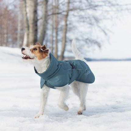 Stormy Coat