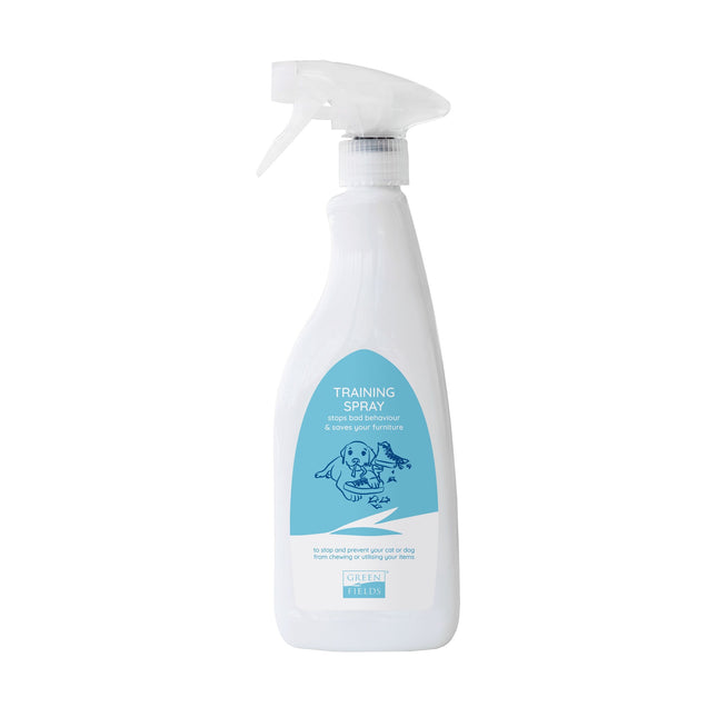 Trainingsspray 400 ml