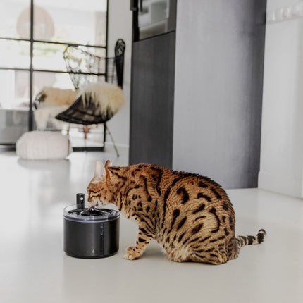 FLOW 2.2 L Wireless Drinking Fountain