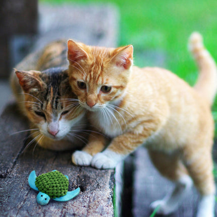 Catnip Refillables Schildkröte