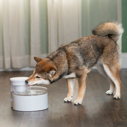 Outlast™ 1.7 L Pumpless Pet Fountain