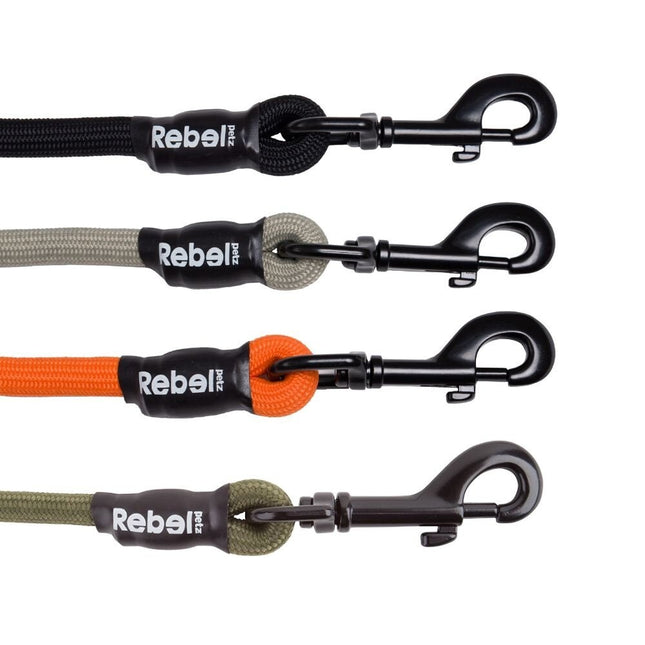 Basic Leash