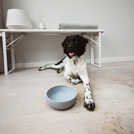 BAMBOO Dog Bowl