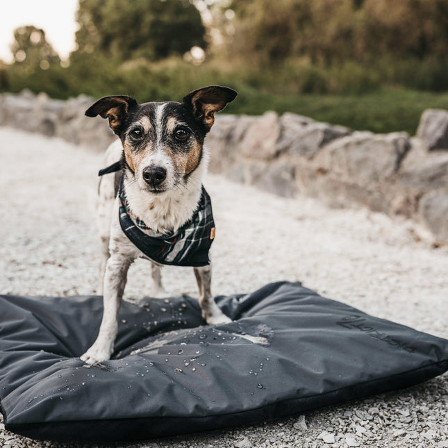 LODGE Benchmat
