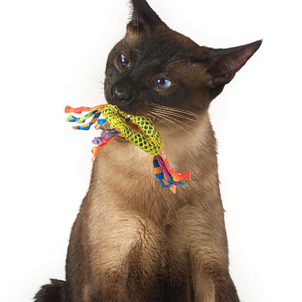 Dental Health Chew Katzenspielzeug
