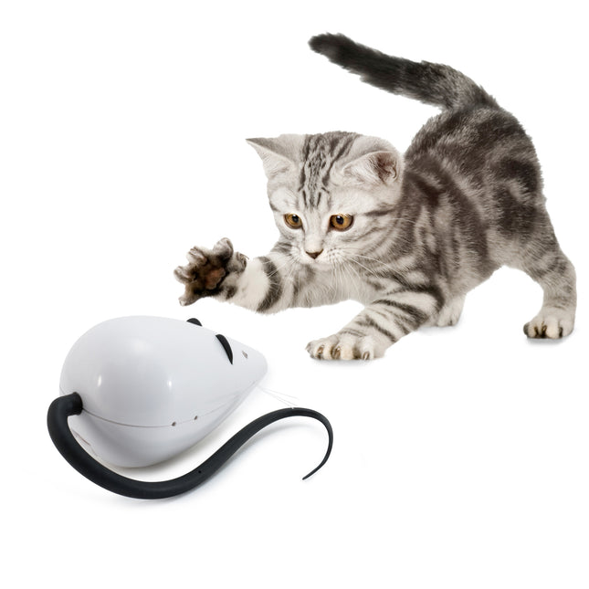 RoloRat Automatisches Katzenspielzeug