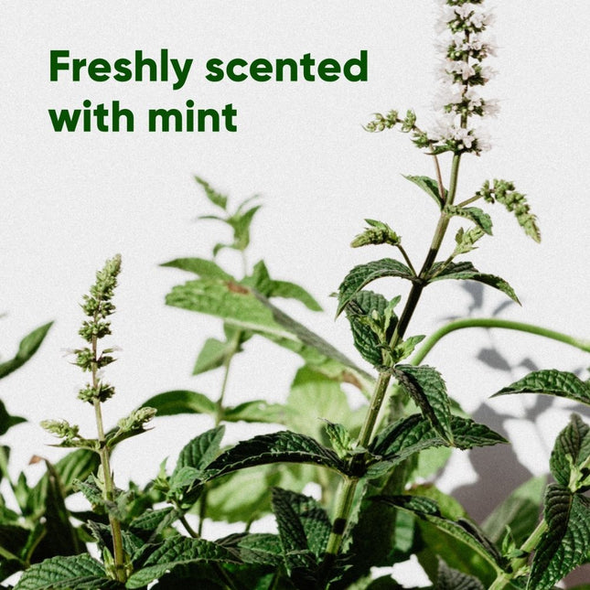 Poop Bags Recycled - Mint Scented Value Pack (270)