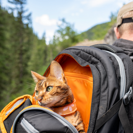 G-Train Dog Carrier Backpack