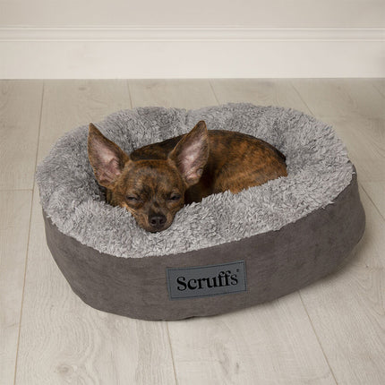 Display Cosy Cat Bed Combo - 24 pieces