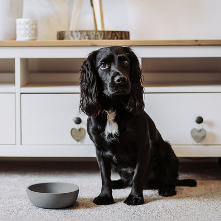 BAMBOO Dog Bowl