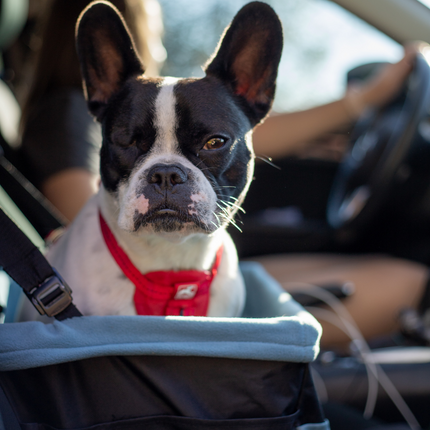 Rover Booster Seat