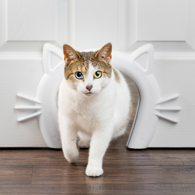Cat Corridor™ Interior Pet Door
