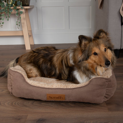 Display Cosy Box Bed Combo - 26 pieces