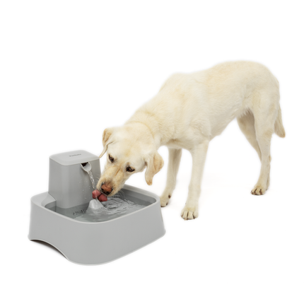 Drinkwell® Trinkbrunnen 7,5 L