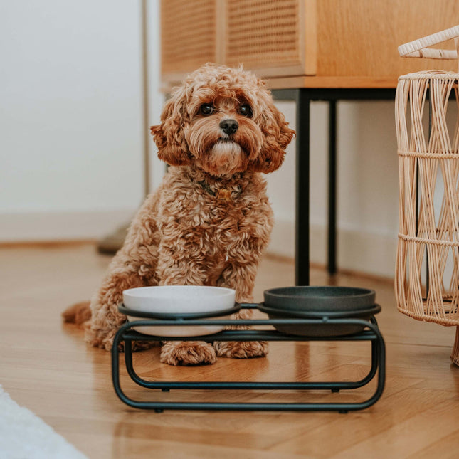 BUTLER Voerbakstandaard voor honden