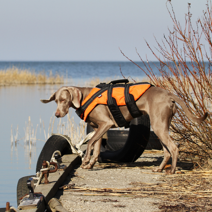 Safety Life Vest