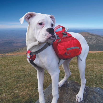 Big Baxter Rucksack