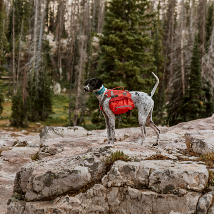Big Baxter Rucksack