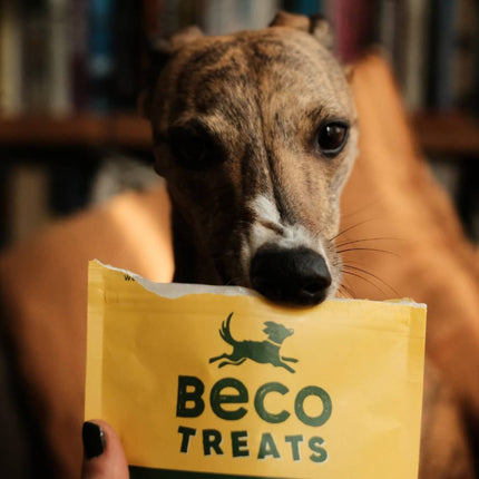 Treats - Peanut with Coconut &amp; Turmeric