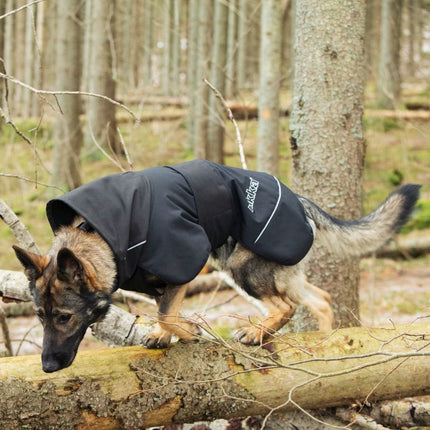 Windy Thermal Jacket