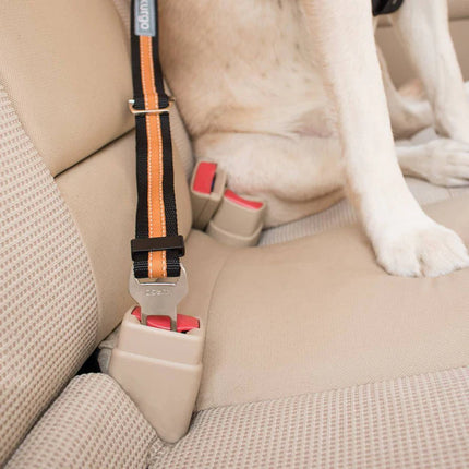 Direct to Seatbelt Tether - Zwart/Oranje