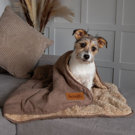 Cosy Blanket
